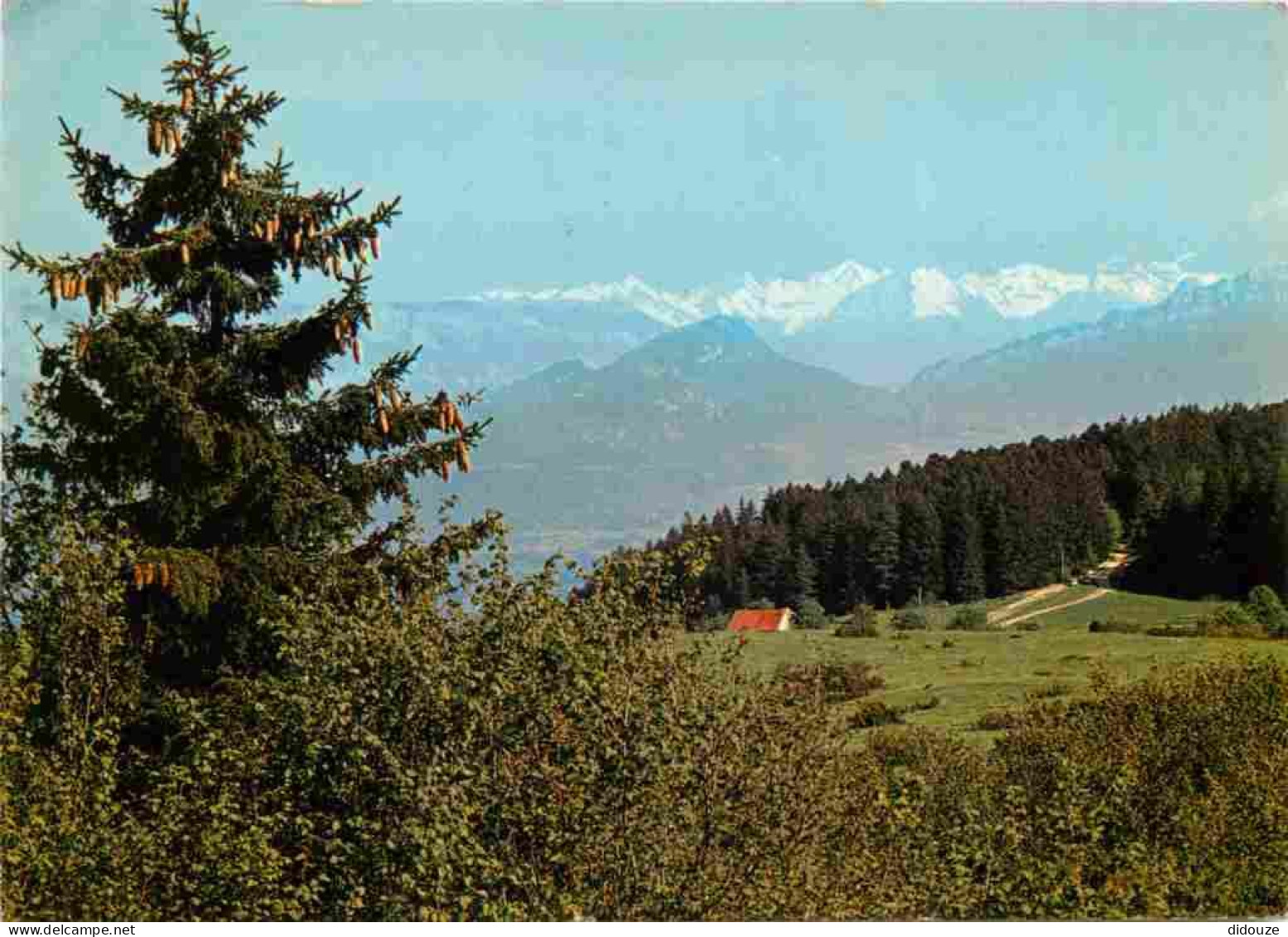 01 - Hauteville Lompnès - Col De La Lèbe - Vue Sur Le Mont-Blanc - CPM - Voir Scans Recto-Verso - Hauteville-Lompnes