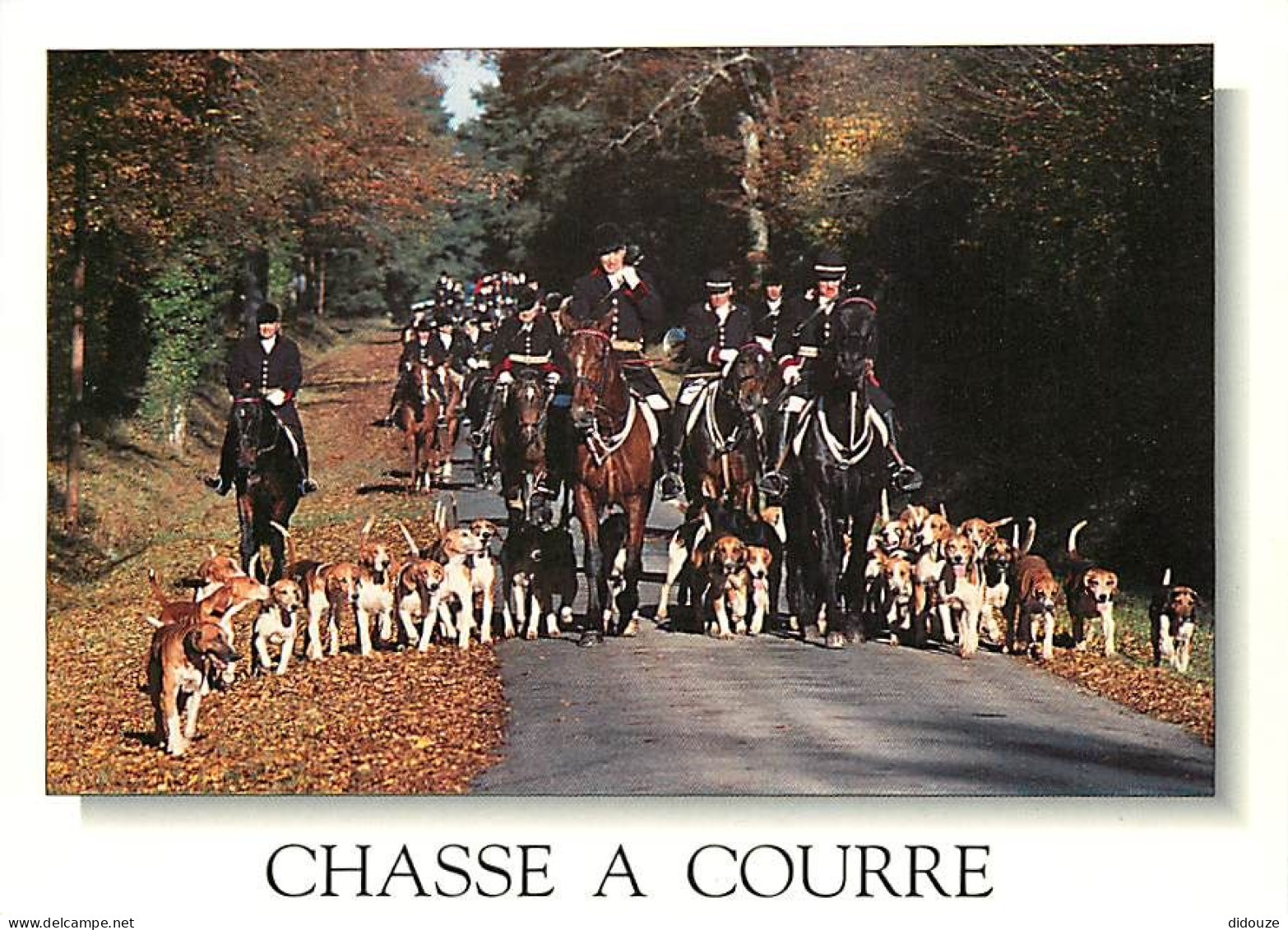 Animaux - Chevaux - Chasse à Courre - Chiens - Carte Neuve - CPM - Voir Scans Recto-Verso - Chevaux