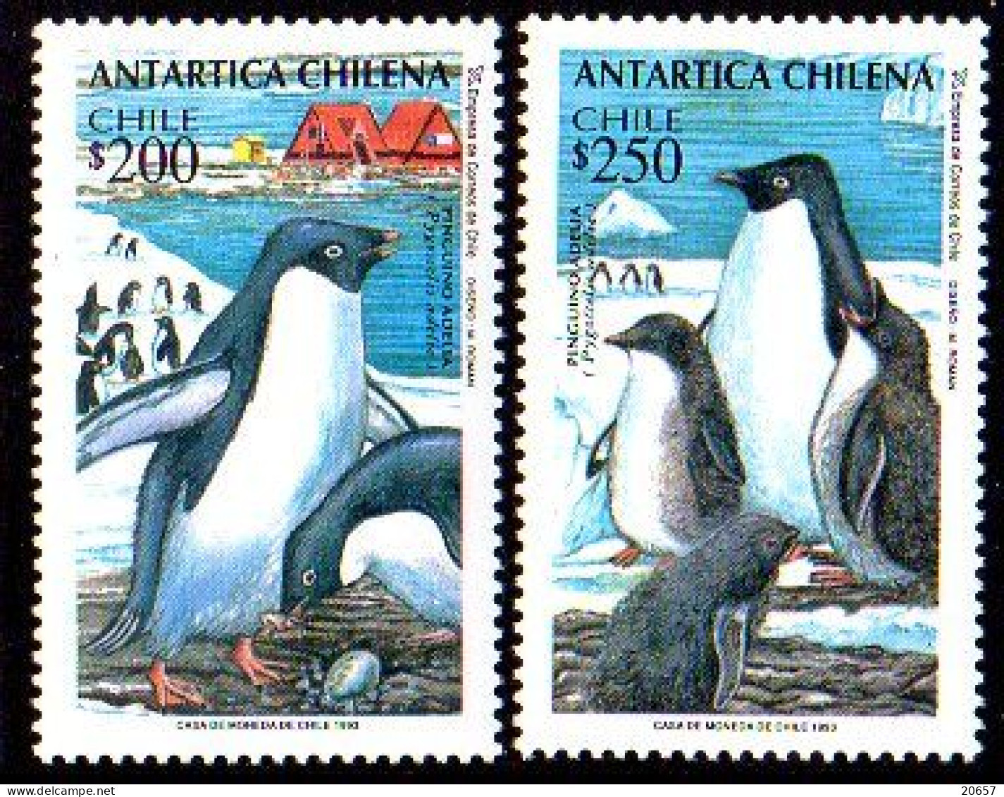 Chili Chile 1190/91 Pingouins - Pingouins & Manchots