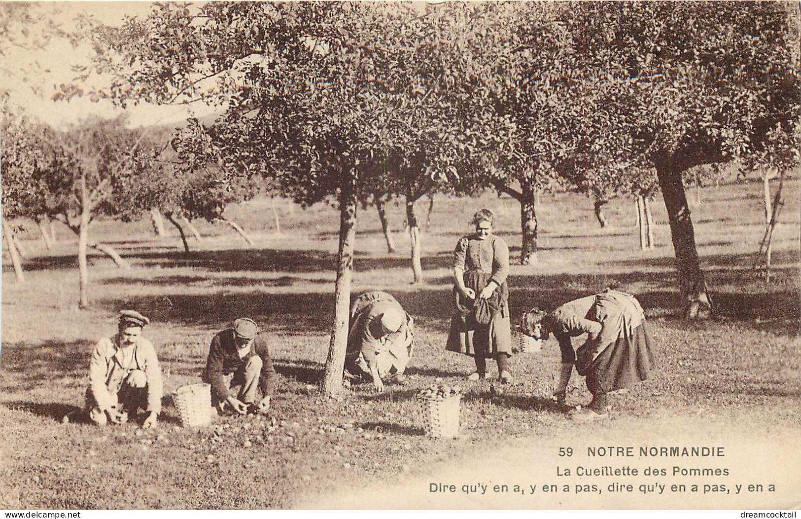 Régions NOTRE NORMANDIE. La Cueillette Des Pommes - Haute-Normandie