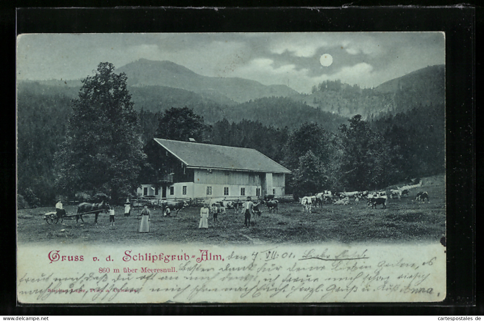 Mondschein-AK Brannenburg, Weidende Kühe Vor Der Schlipfgrub-Alm Im Vollmondlicht  - Weiden I. D. Oberpfalz