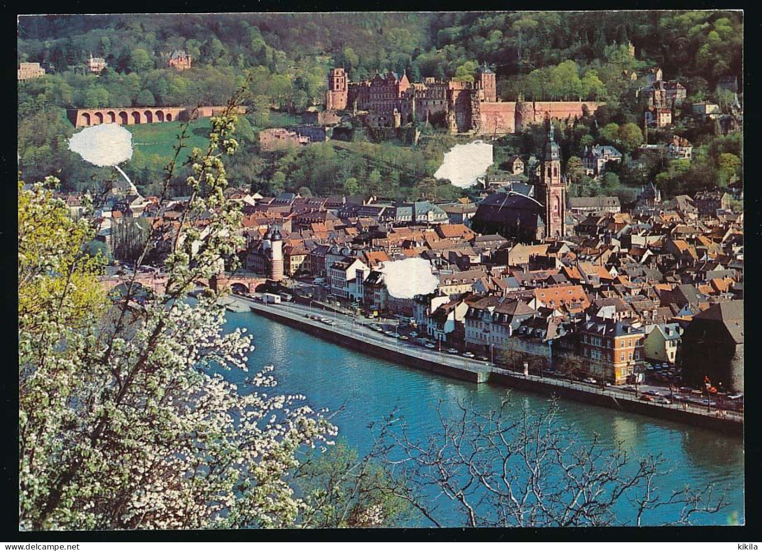 CPSM / CPM 10.5 X 15 Allemagne (36) Bade Wurtemberg HEIDELBERG Au Printemps - Heidelberg