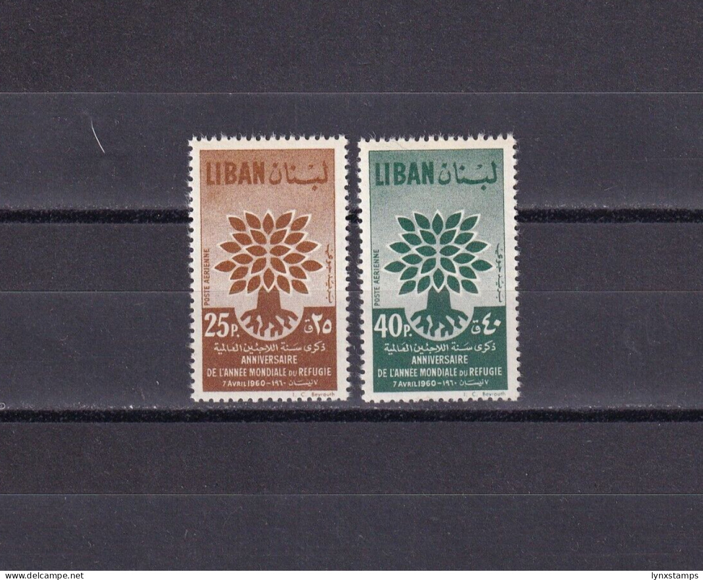 SA06b Lebanon 1960 Airmail - World Refugee Year Mint Stamps - Liban