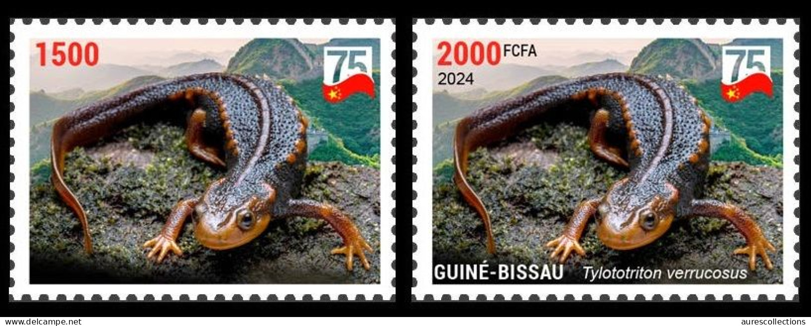 GUINEA BISSAU 2024 SET 2V - CHINA DIPLOMATIC RELATIONS - NEWT TRITON AMPHIBIANS AMPHIBIENS - MNH - Other & Unclassified