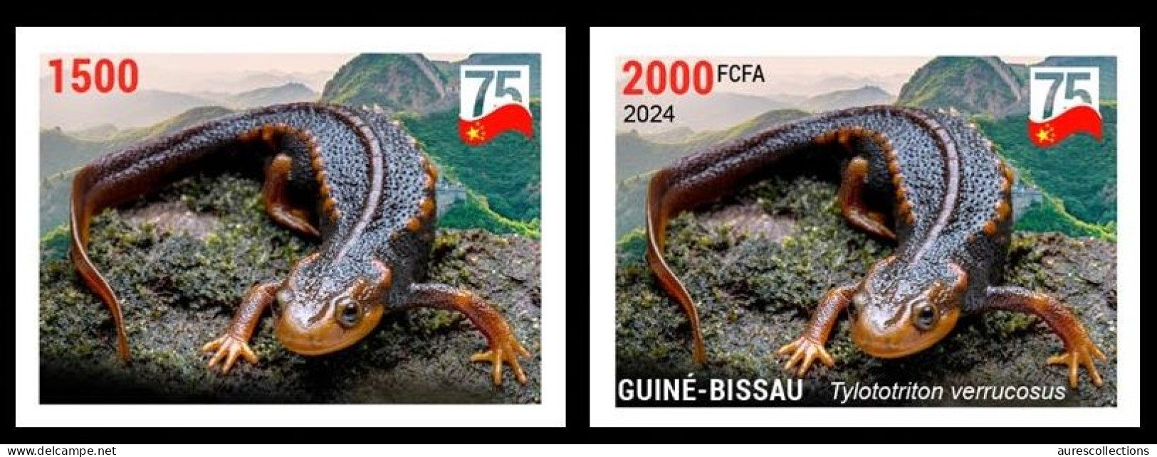 GUINEA BISSAU 2024 IMPERF SET 2V - CHINA DIPLOMATIC RELATIONS - NEWT TRITON AMPHIBIANS AMPHIBIENS - MNH - Other & Unclassified