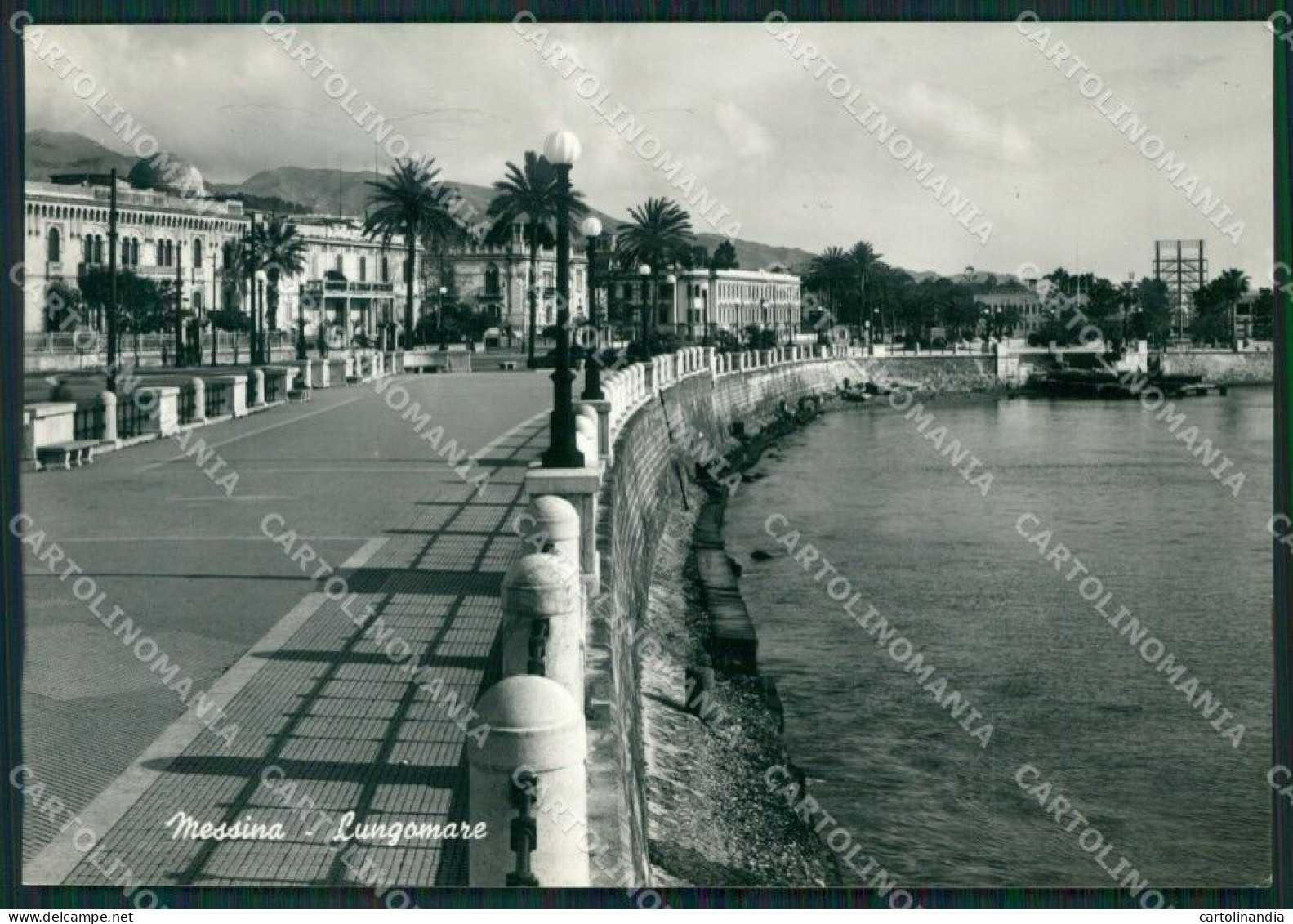 Messina Città Foto FG Cartolina ZKM7708 - Messina