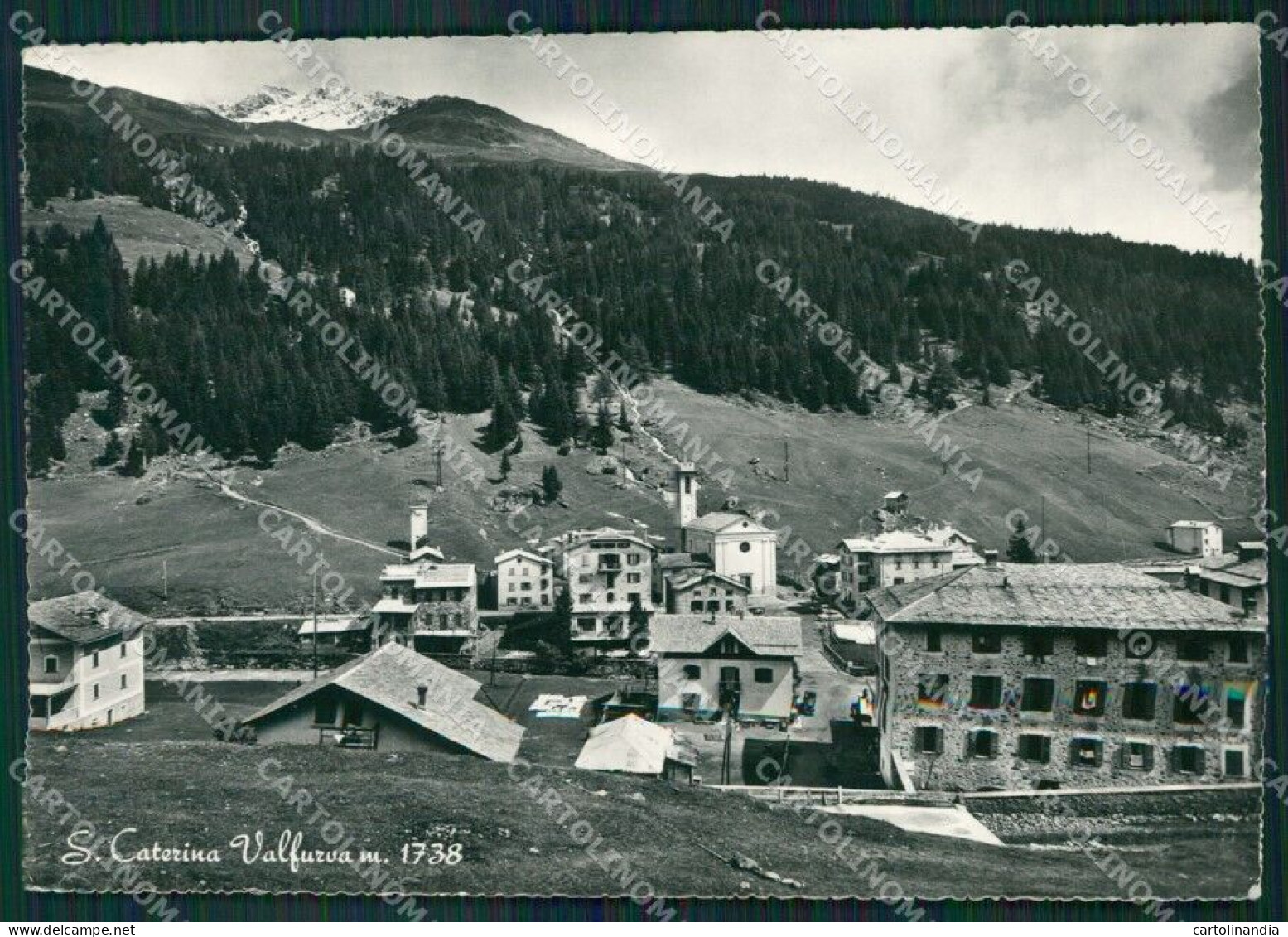 Sondrio Valfurva Santa Caterina Di Foto FG Cartolina ZK5609 - Sondrio