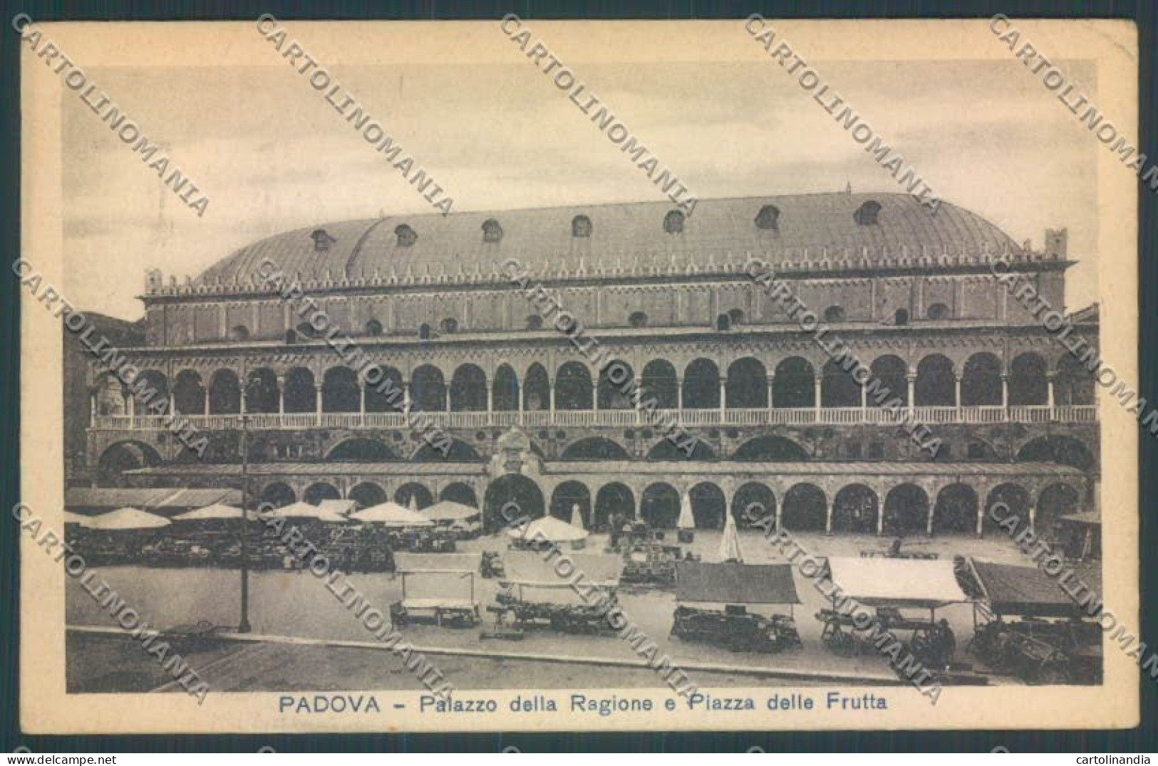 Padova Città Mercato Cartolina ZQ2278 - Padova (Padua)