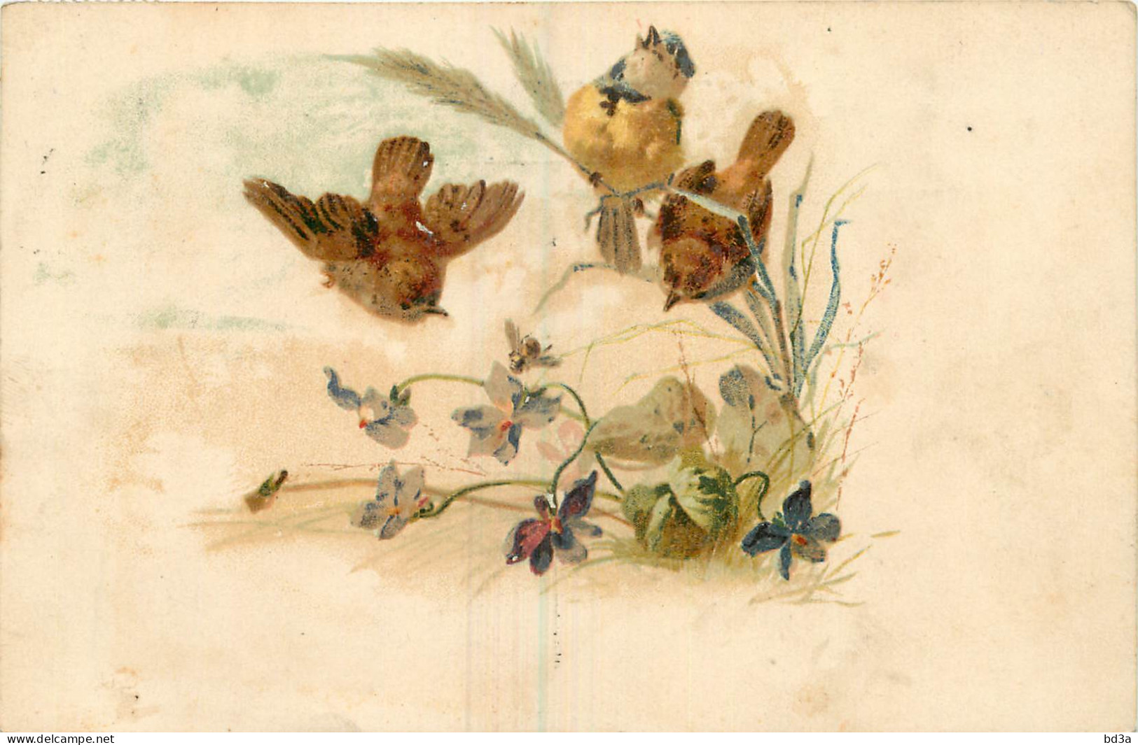 ILLUSTRATION  THEME OISEAUX  - Vögel