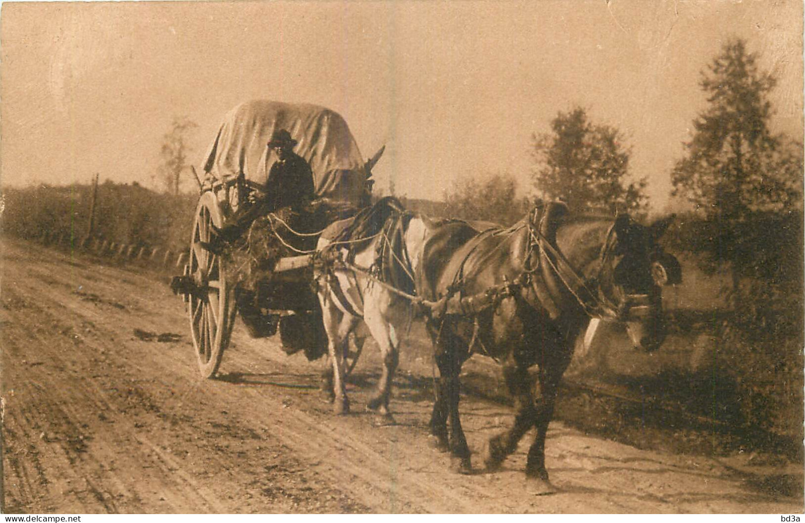   AGRICULTURE - ATTELAGE - PAYSAN - Attelages