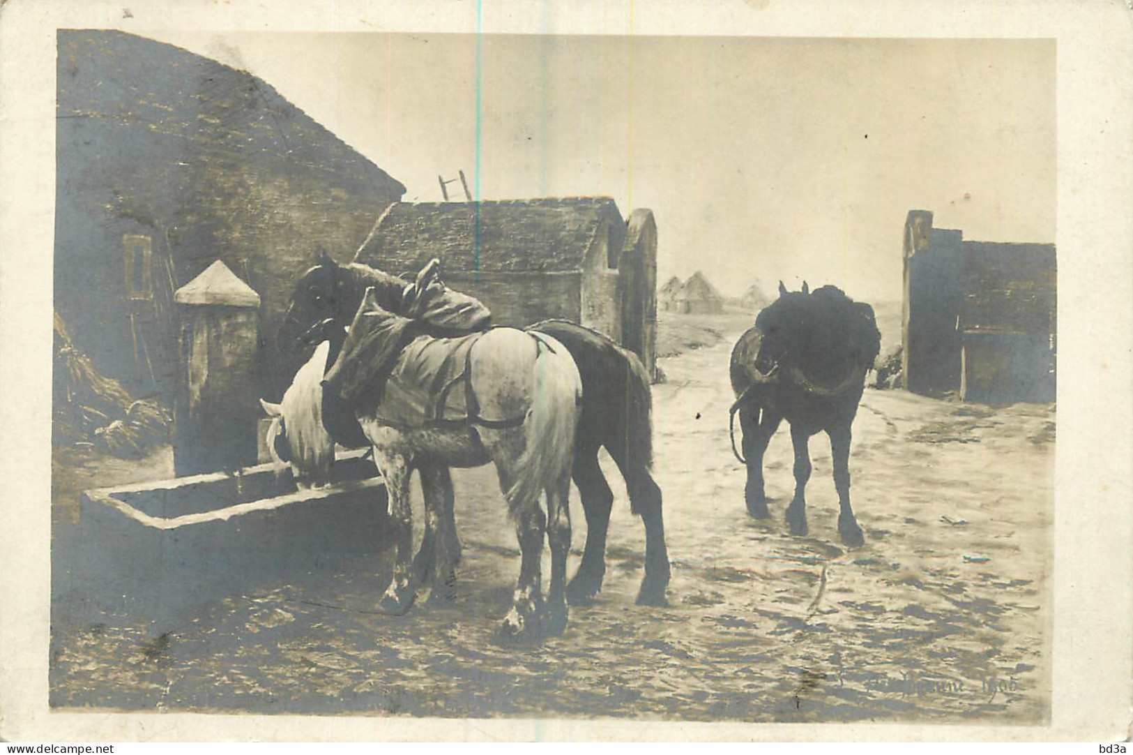 THEME ANIMAUX - CHEVAUX DANS UNE FERME - Chevaux