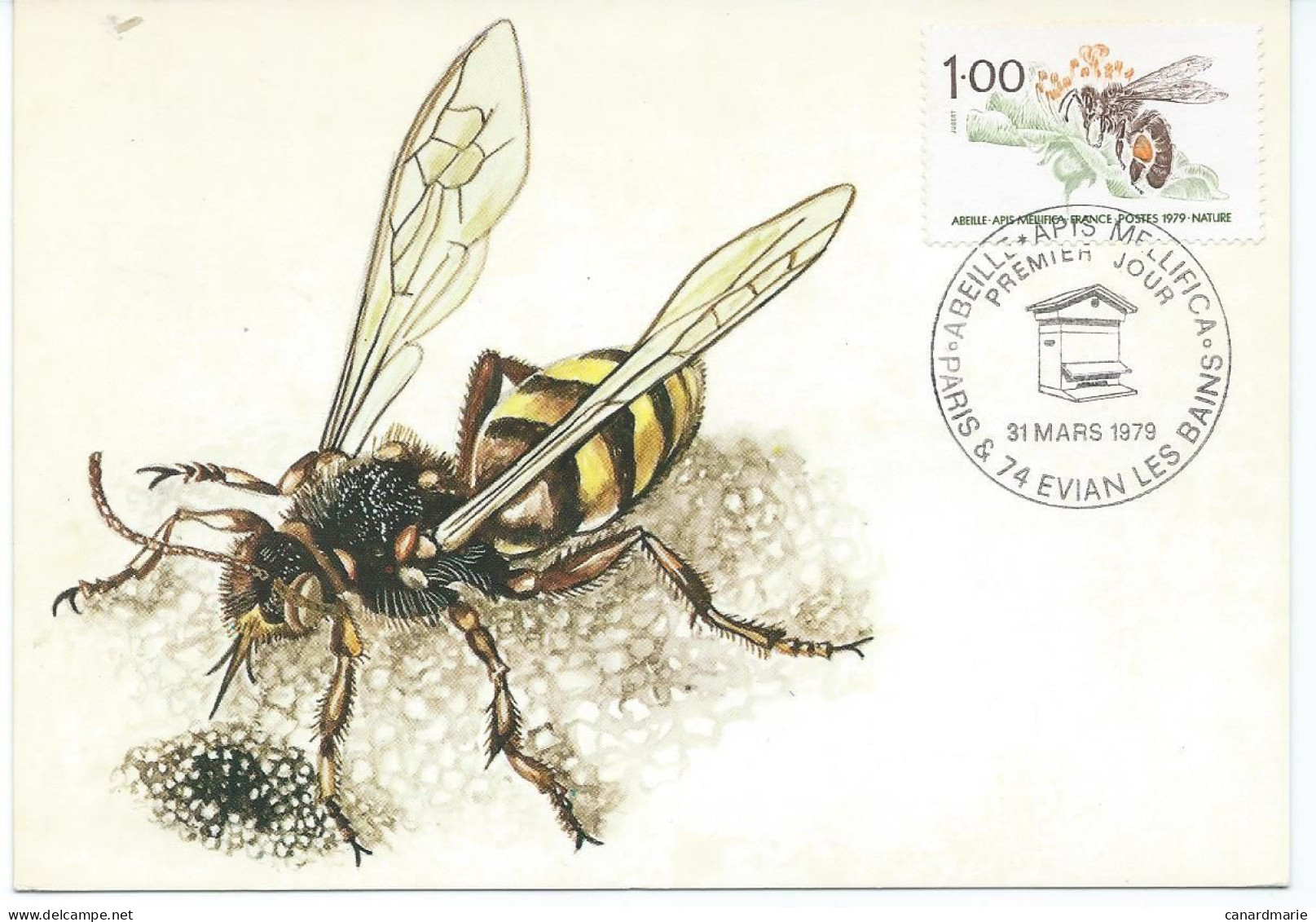 LOT DE 8 CARTES ET LETTRES SUR LE THEME ABEILLES - MIEL