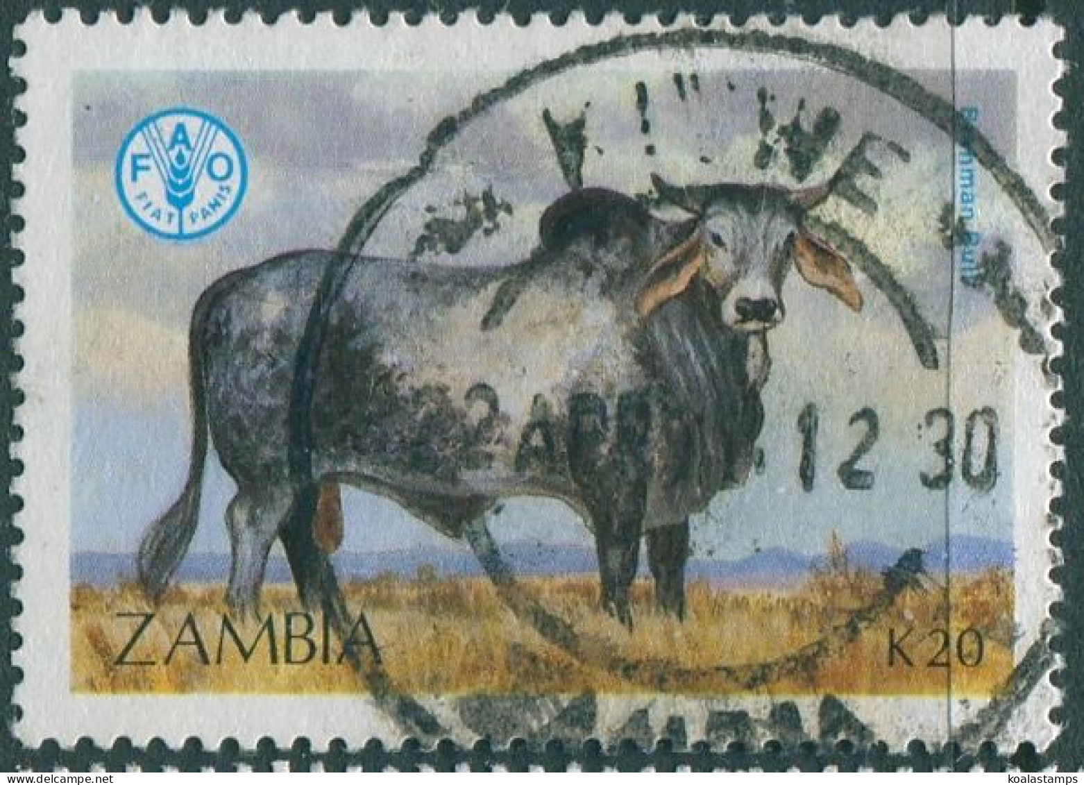 Zambia 1987 SG531 20K Brahman Bull FU - Zambia (1965-...)