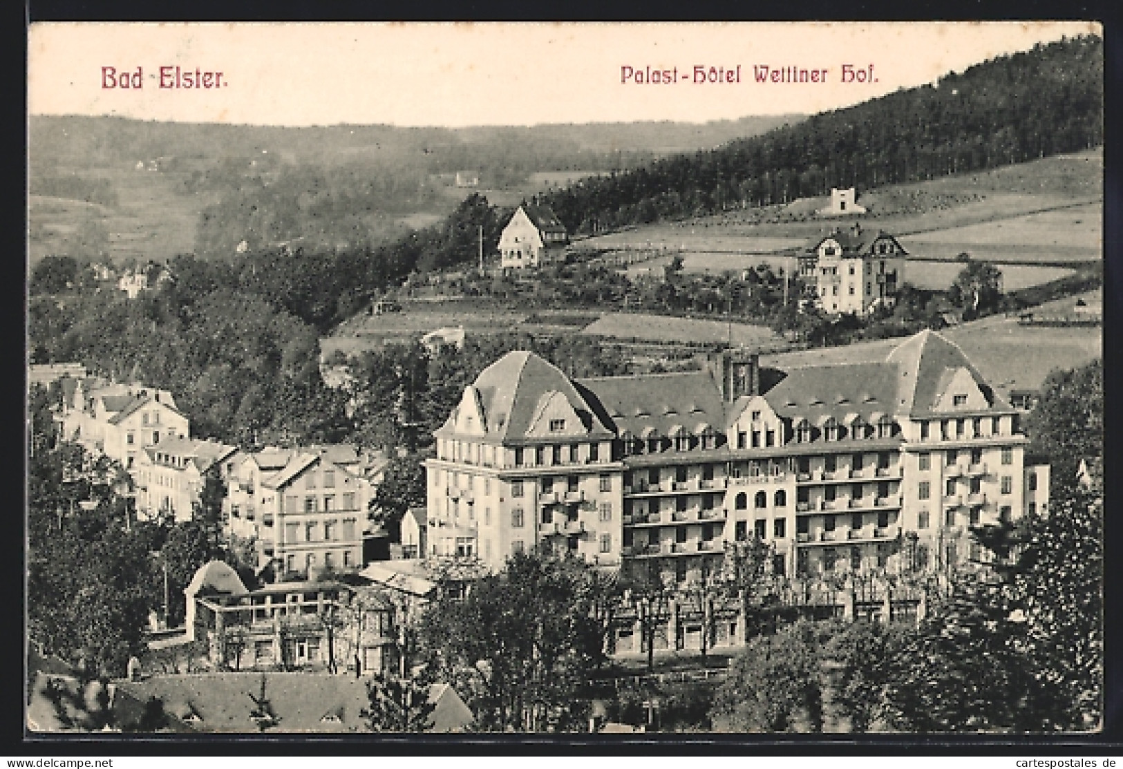 AK Bad Elster, Palast-Hotel Wettiner Hof Aus Der Vogelschau  - Bad Elster