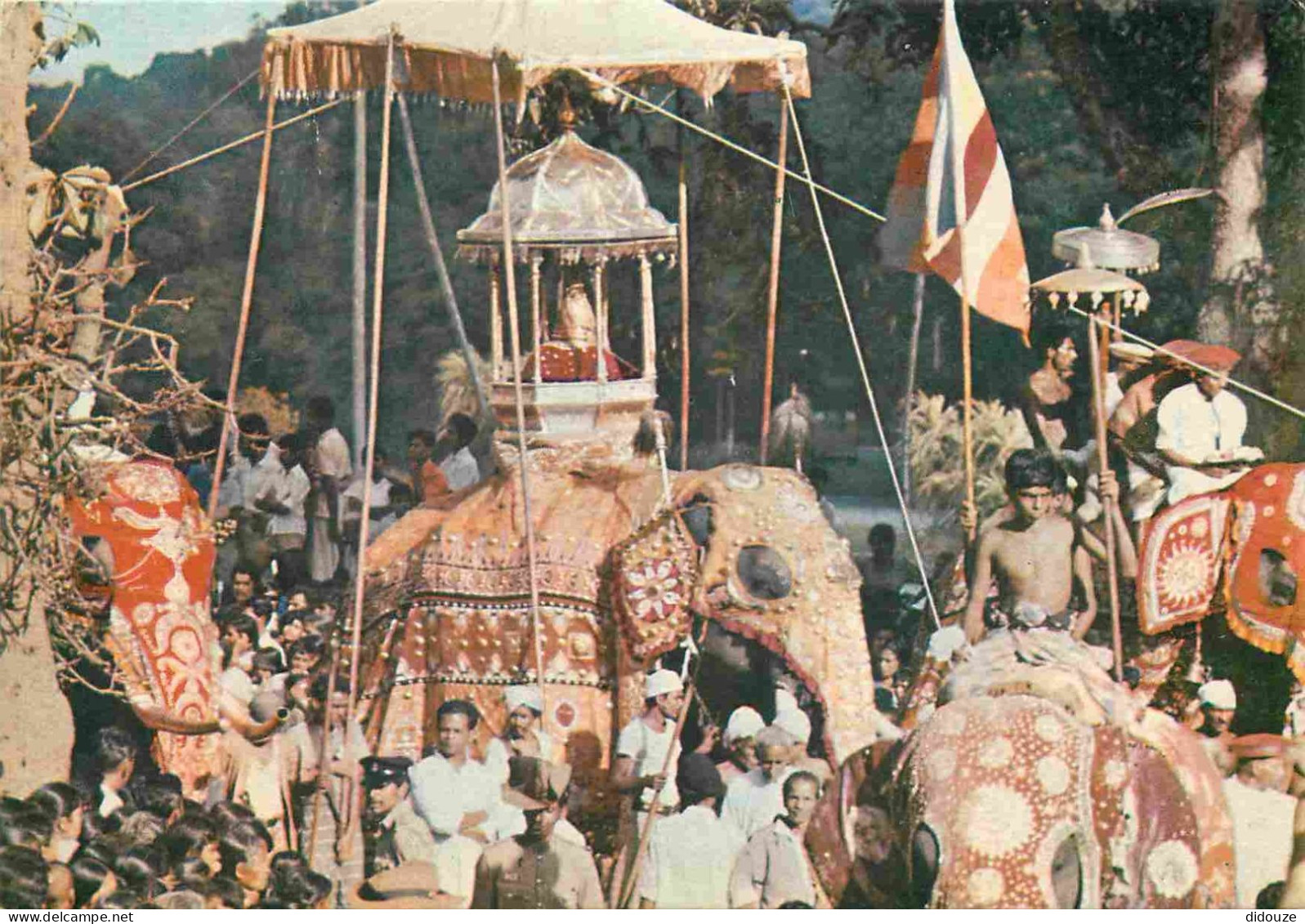 Animaux - Eléphants - Sri Lanka - Kandy Perehera - CPM - Voir Scans Recto-Verso - Éléphants
