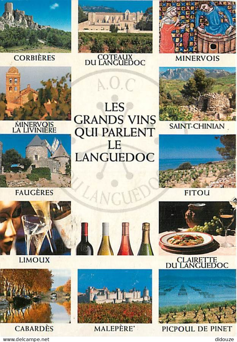 Vignes - Languedoc - Multivues - Vins - CPM - Carte Neuve - Voir Scans Recto-Verso - Wijnbouw