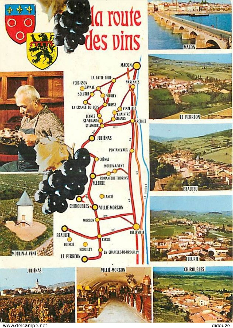 Vignes - Route Des Vins - Multivues - Carte Géographique - CPM - Carte Neuve - Voir Scans Recto-Verso - Wijnbouw