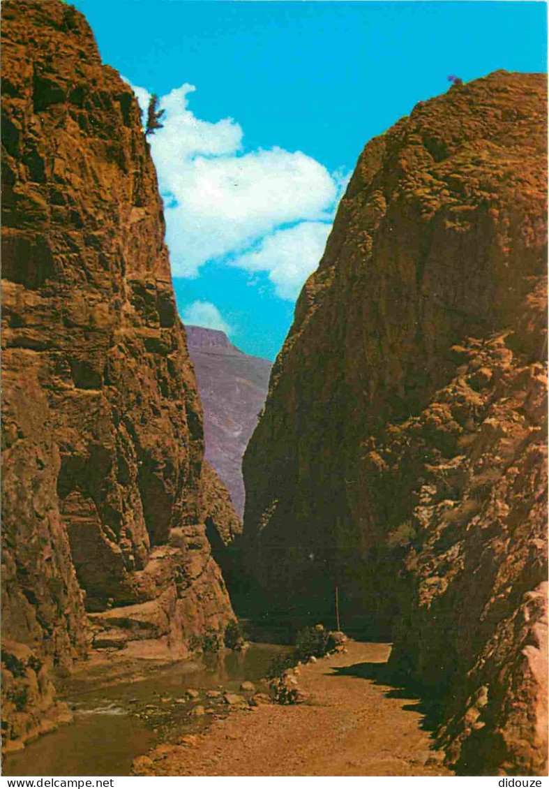 Maroc - Les Gorges Du Dadès - CPM - Carte Neuve - Voir Scans Recto-Verso - Autres & Non Classés