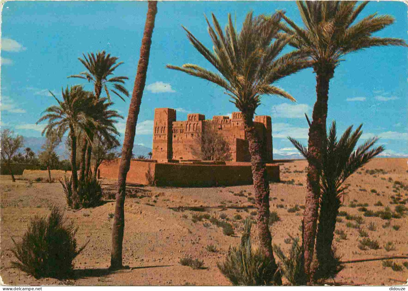 Maroc - Casbah Dans La Palmeraie - CPM - Voir Scans Recto-Verso - Other & Unclassified