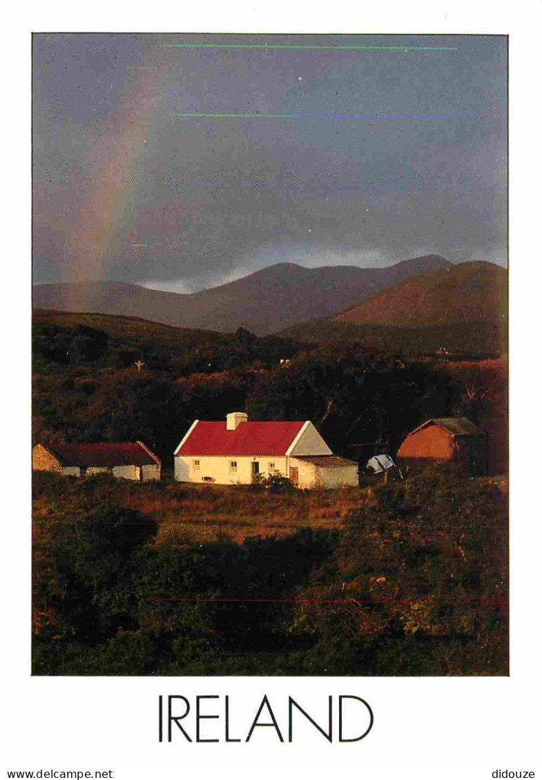 Irlande - A Typical Irish Cottage - Une Typique Chaumière Irlandaise - Insight Ireland Card - CPM - Voir Scans Recto-Ver - Other & Unclassified
