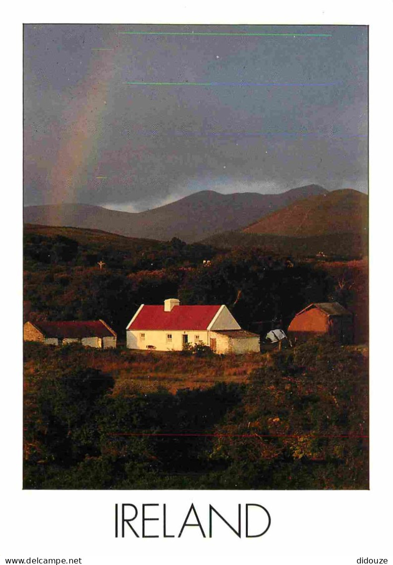 Irlande - A Typical Irish Cottage - Une Typique Chaumière Irlandaise - Insight Ireland Card - CPM - Voir Scans Recto-Ver - Sonstige & Ohne Zuordnung