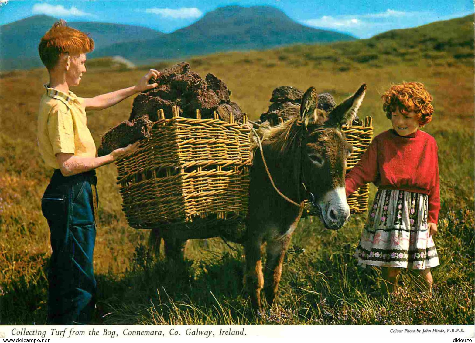 Irlande - Galway - Connemara - Collecting Turf From The Bog - Enfants - Anes - CPM - Voir Scans Recto-Verso - Galway