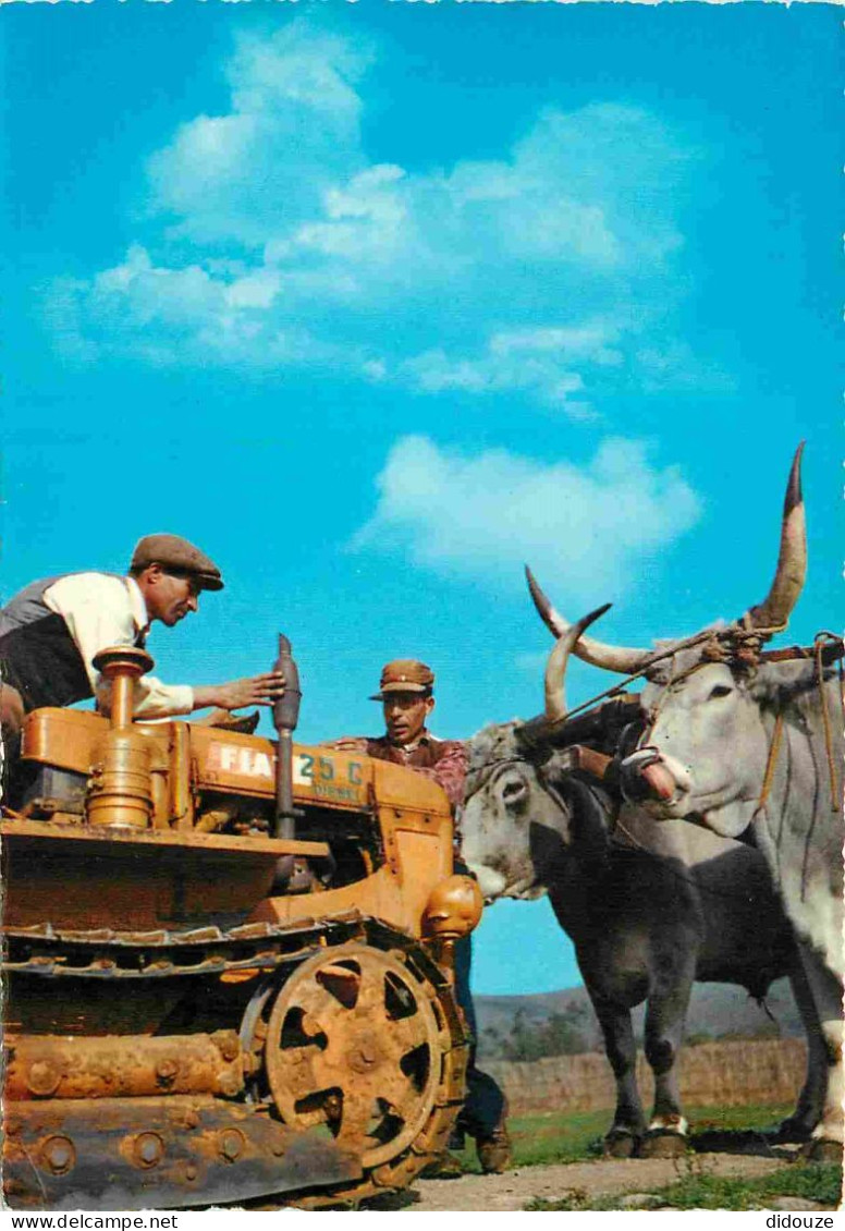 Animaux - Vaches - Tracteur à Chenilles - Attelage De Bœufs - Paysans - CPM - Voir Scans Recto-Verso - Koeien