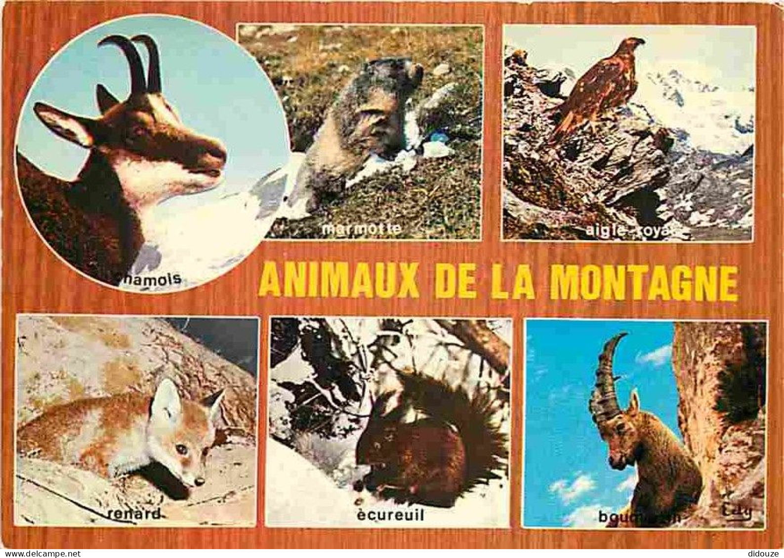 Animaux - Animaux De La Montagne - Multivues - CPM - Voir Scans Recto-Verso - Autres & Non Classés