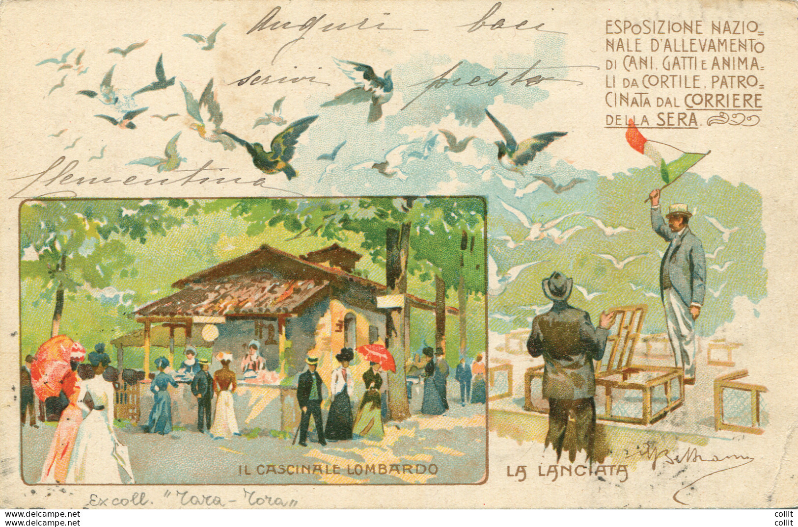 1900 La Lanciata Dei Piccioni Viaggiatori - Cartolina A Colori - Marcophilia