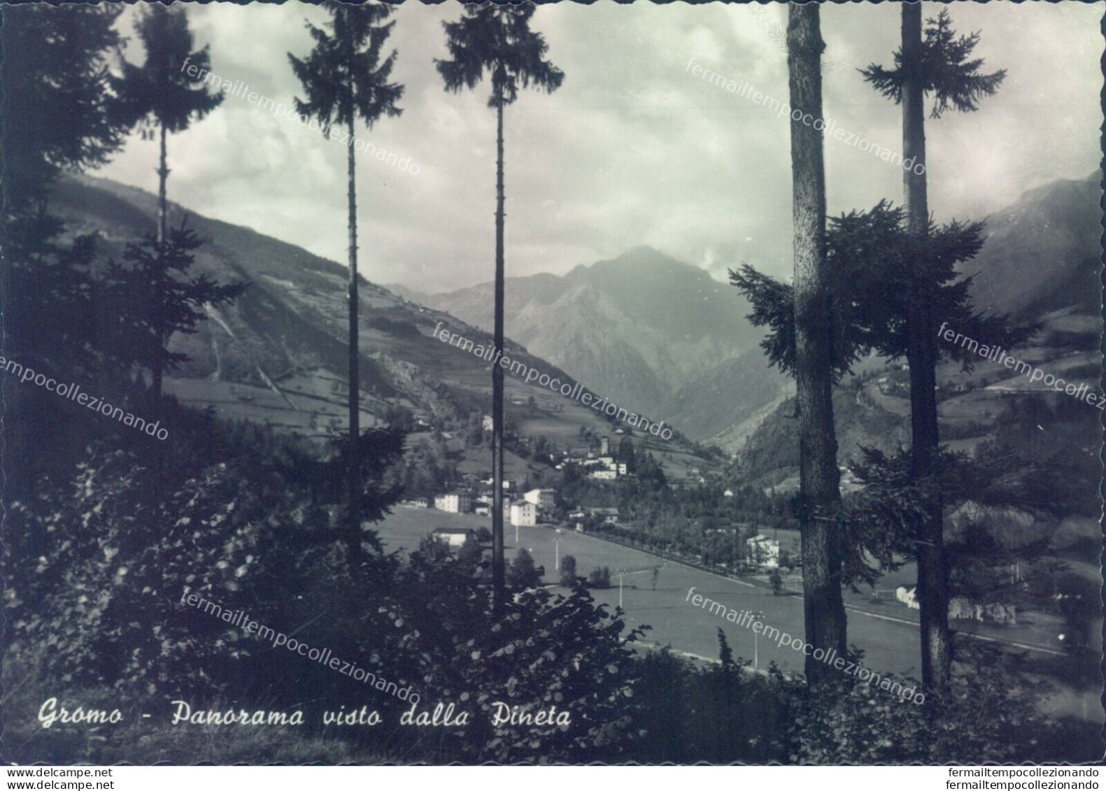 Q114 Cartolina Gromo Panorama Visto Dalla Pineta Provincia Di Bergamo - Bergamo
