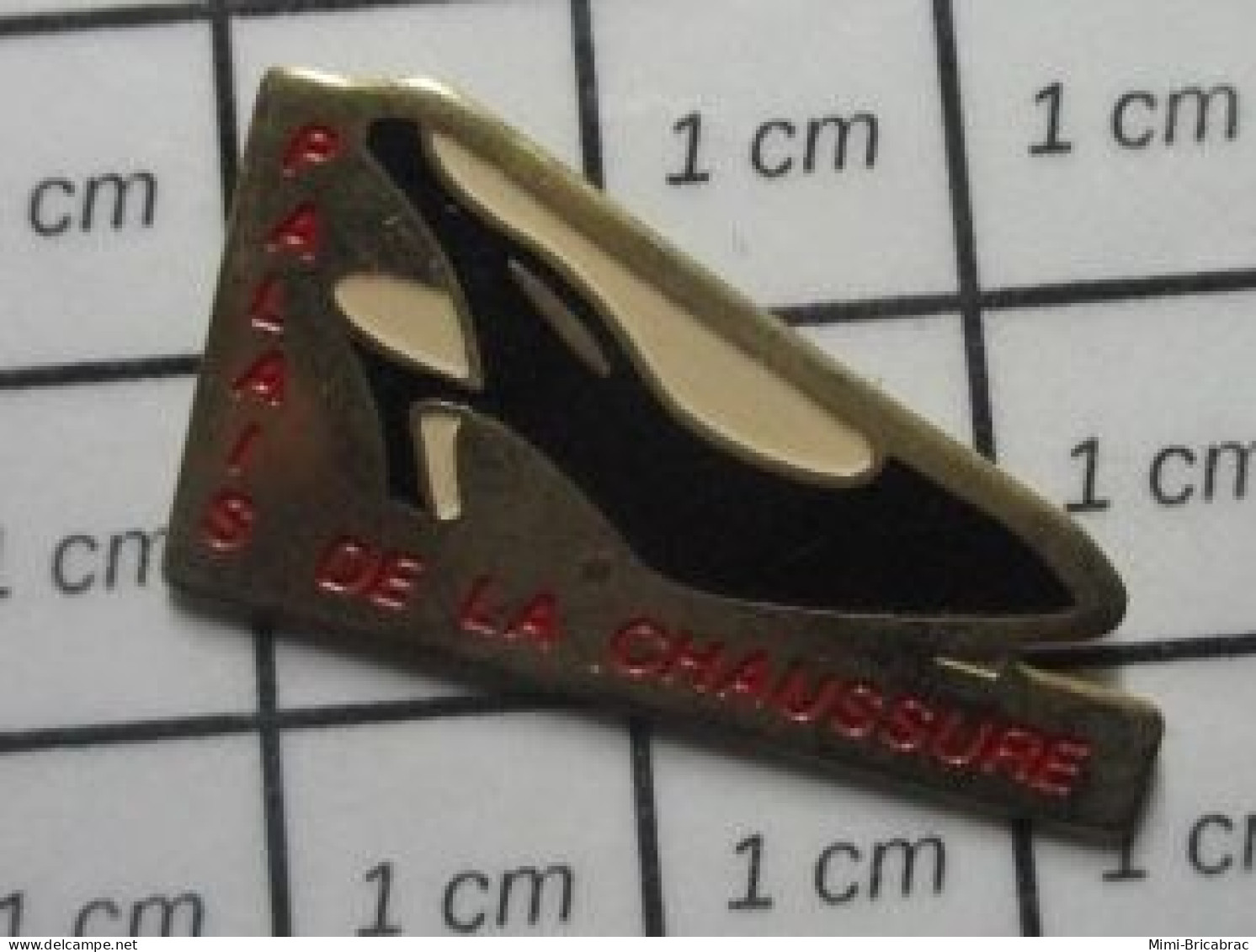 1215c Pin's Pins / Beau Et Rare : MARQUES / ESCARPIN NOIR PALAIS DE LA CHAUSSURE - Cities