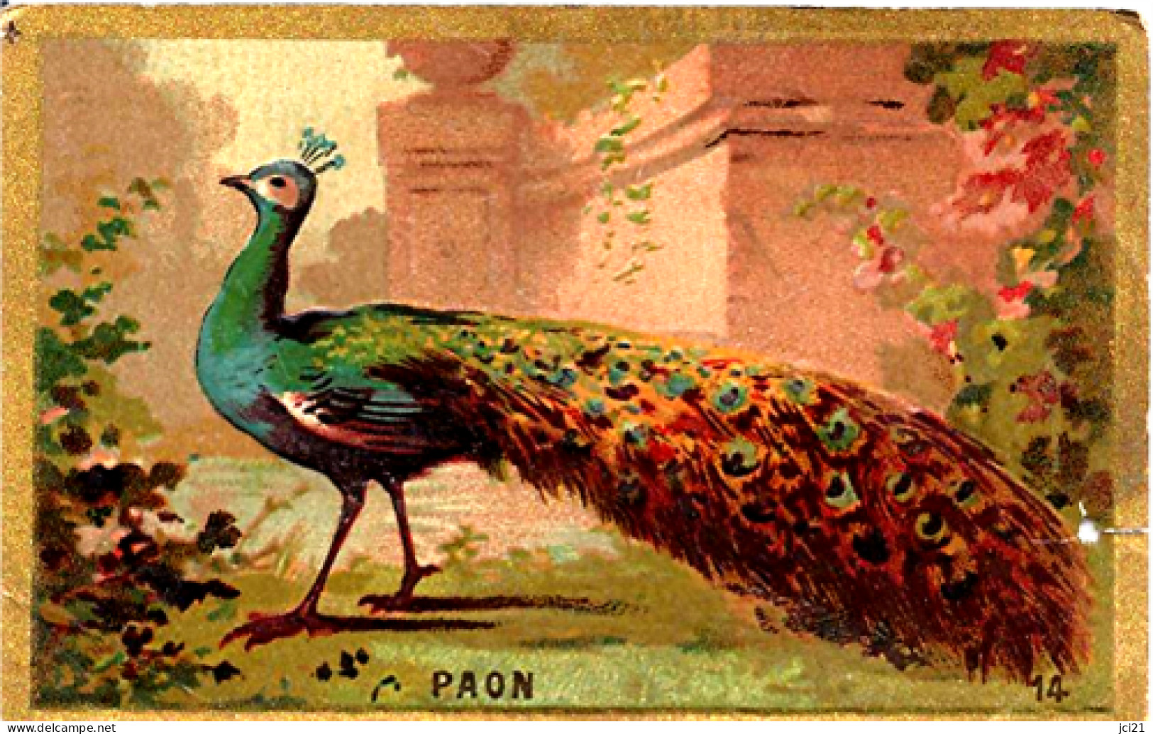 Image " LE PAON " (249)_D202 - Albums & Katalogus