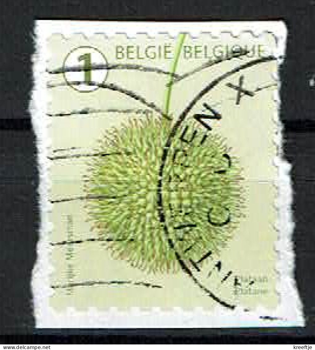 België / Belgique / Belgium / Belgien Plataan 2021 (OBP 5028 ) - Usados