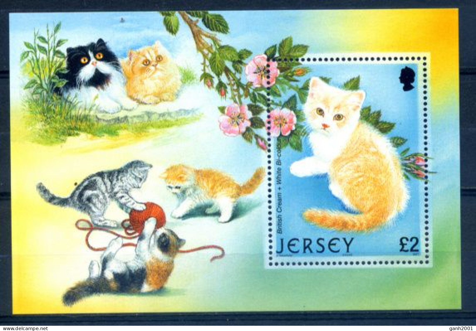 Jersey 2001 / Mammals Cats MNH Gatos Mamíferos Chats Katzen Saugëtiere / Io17  34-11 - Domestic Cats