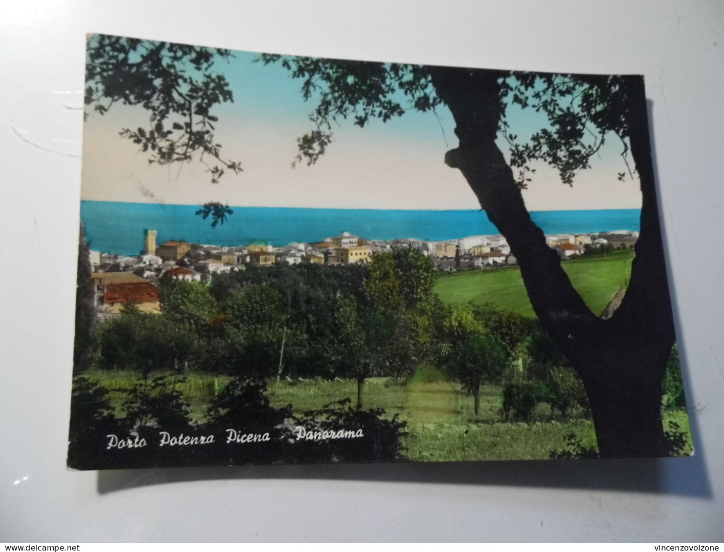 Cartolina Viaggiata "PORTO POTENZA PICENA Panorama" 1959 - Ancona