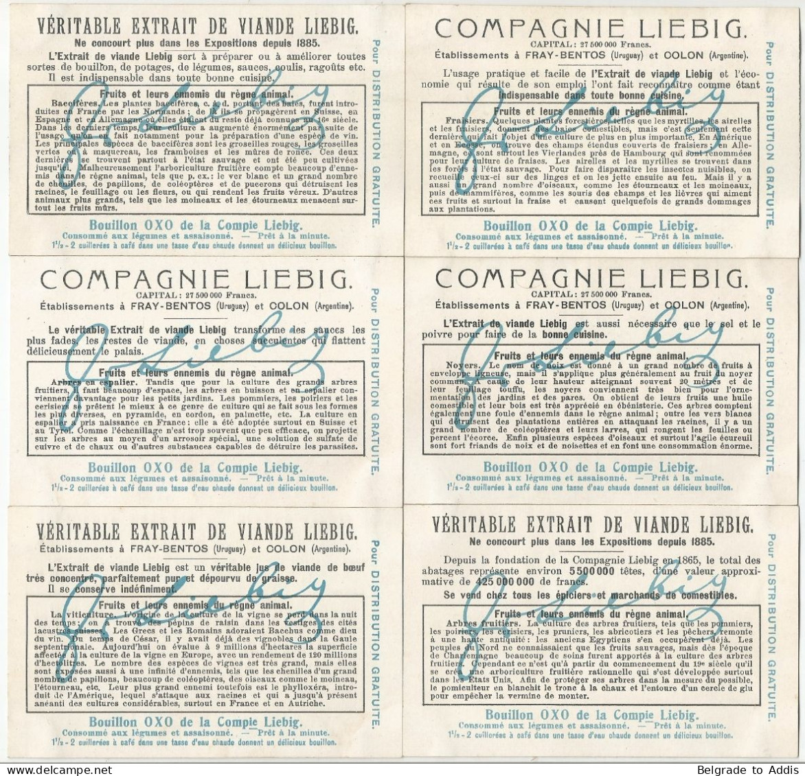 Chromo Liebig Série Compl. De 6 Chromos S_0931 Fruits Et Leurs Ennemis Du Règne Animal 1908 - Liebig