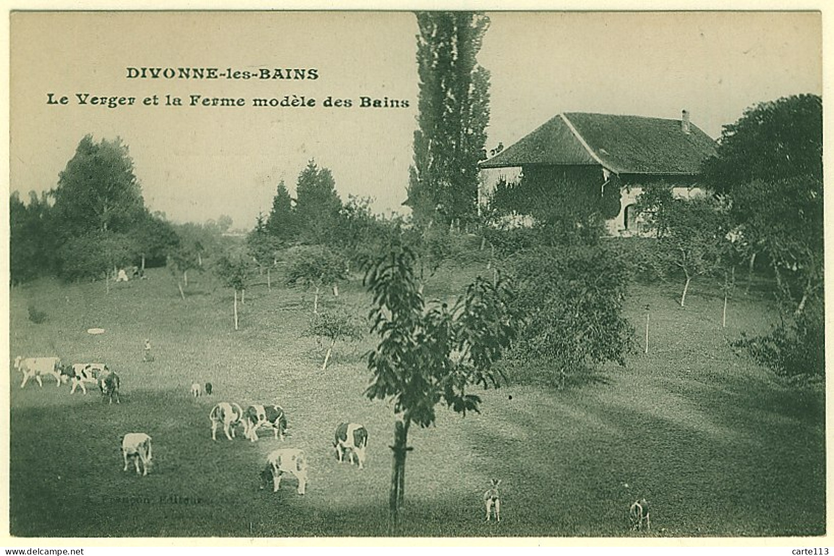 1 - B12313CPA - DIVONNE LES BAINS - Le Verger Et La Ferme Modele - Parfait état - AIN - Divonne Les Bains