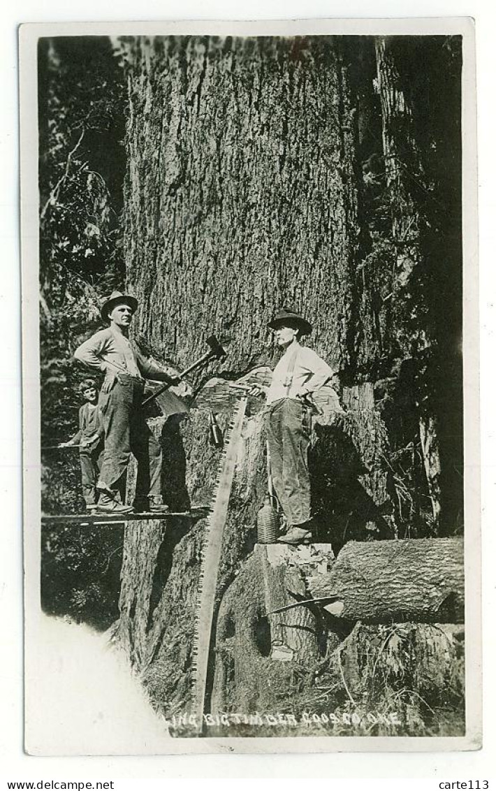 0 - T7190CPA - COOS COUNTY - OREGON - USA - Big Timber  - Bucheronage - CARTE PHOTO - Très Bon état - AMERIQUE - Other & Unclassified