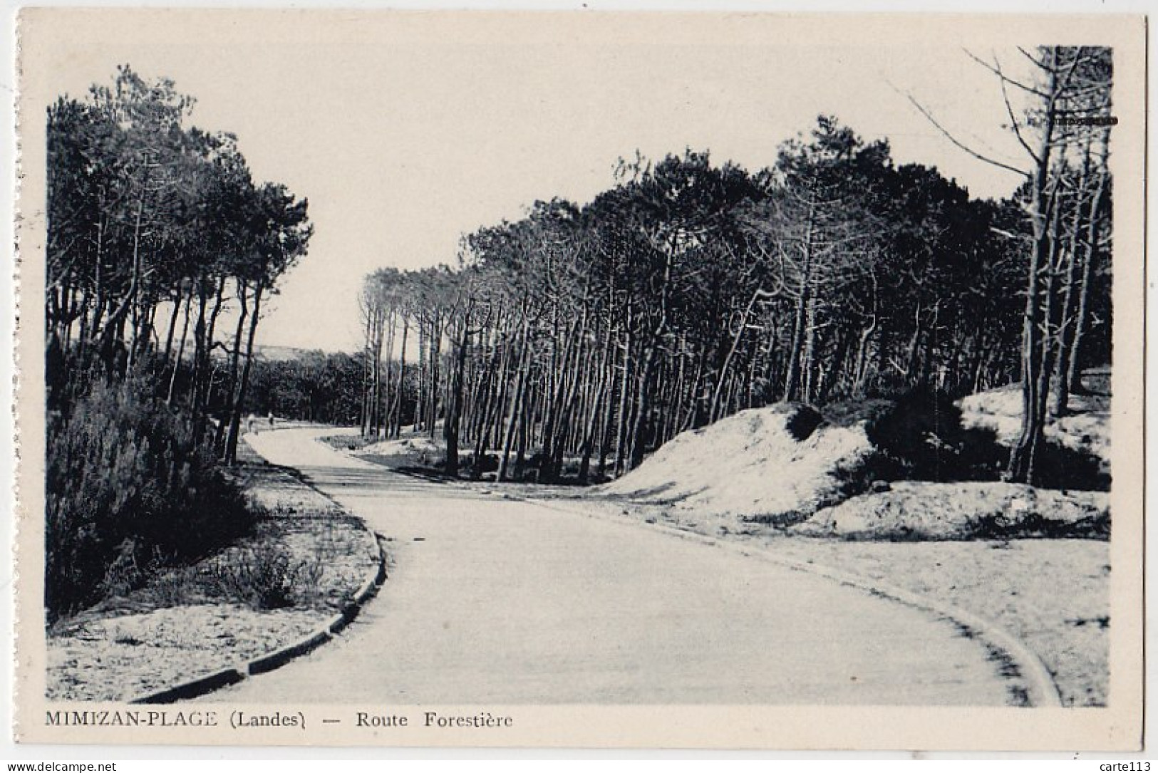 40 - B17054CPA - MIMIZAN PLAGE - Route De La Plage - Photo Vignes - Parfait état - LANDES - Mimizan Plage