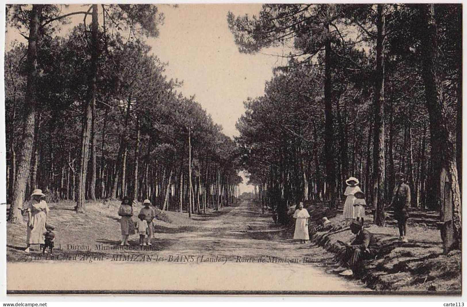 40 - B17053CPA - MIMIZAN LES BAINS - Route De Mimizan Bourg - Parfait état - LANDES - Mimizan Plage