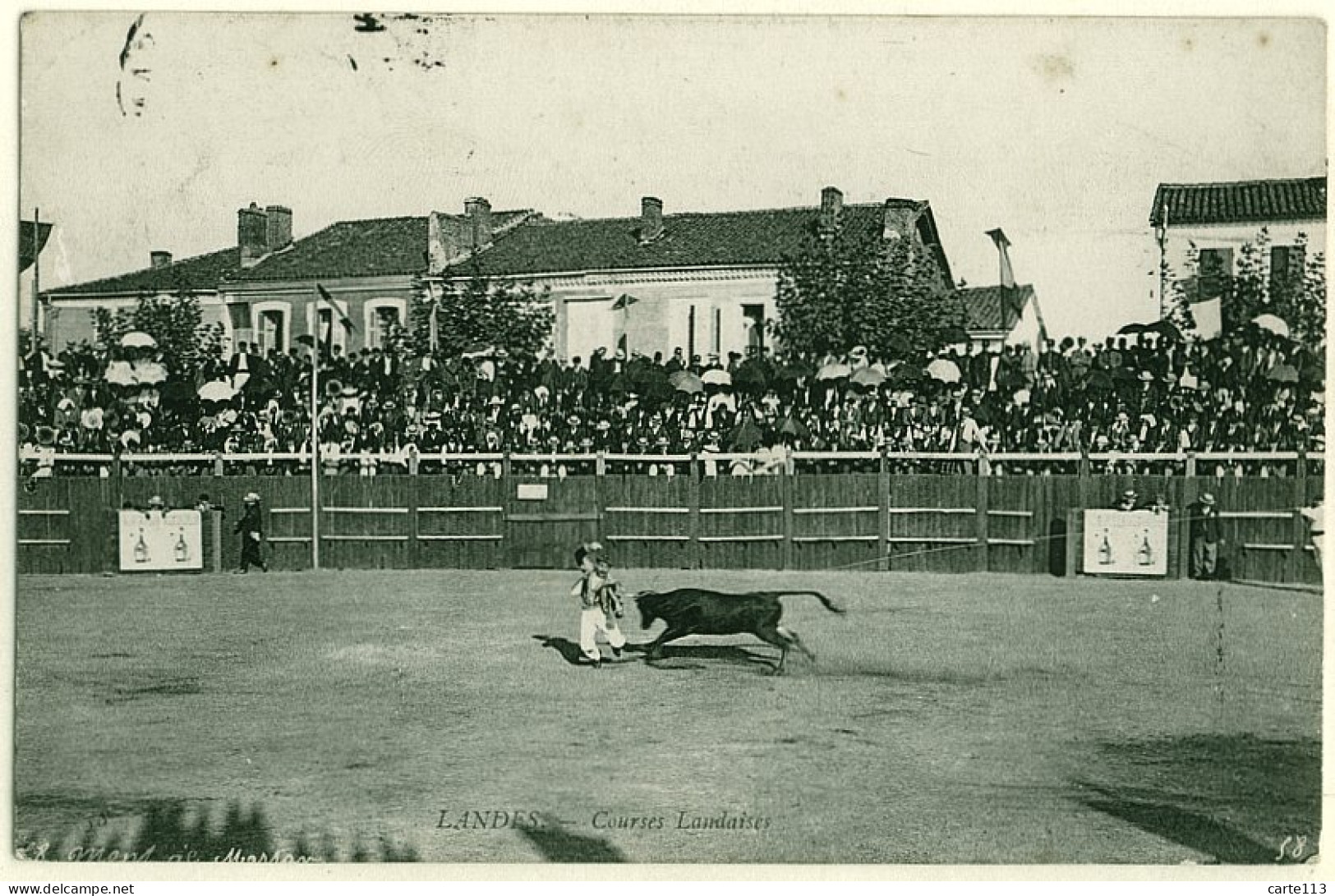 40 - B16870CPA - MONT DE MARSAN - Courses Landaises - Très Bon état - LANDES - Mont De Marsan