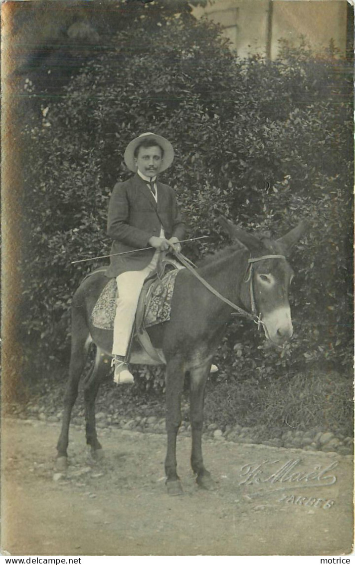 CARTE PHOTO (F Maël) -  Tarbes, Promenade, Mule. - Tarbes