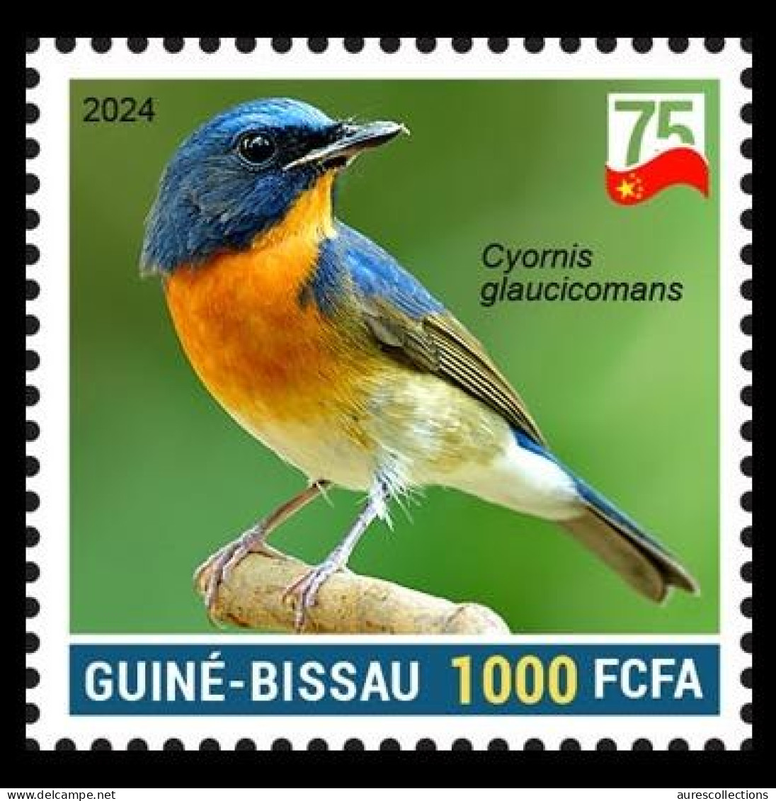 GUINEA BISSAU 2024 STAMP 1V - CHINA BIRDS - CHINESE BLUE FLYCATCHER GOBEMOUCHE DU YUNNAN - 75 ANNIV. OF CHINA MNH - Pájaros Cantores (Passeri)
