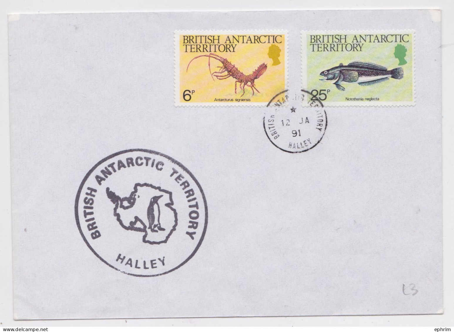 Antarctique BAT Britsh Antarctic Territory Base Halley Marine Life Stamp Cover 1991 Enveloppe Timbre Poisson Crustacé - Cartas & Documentos
