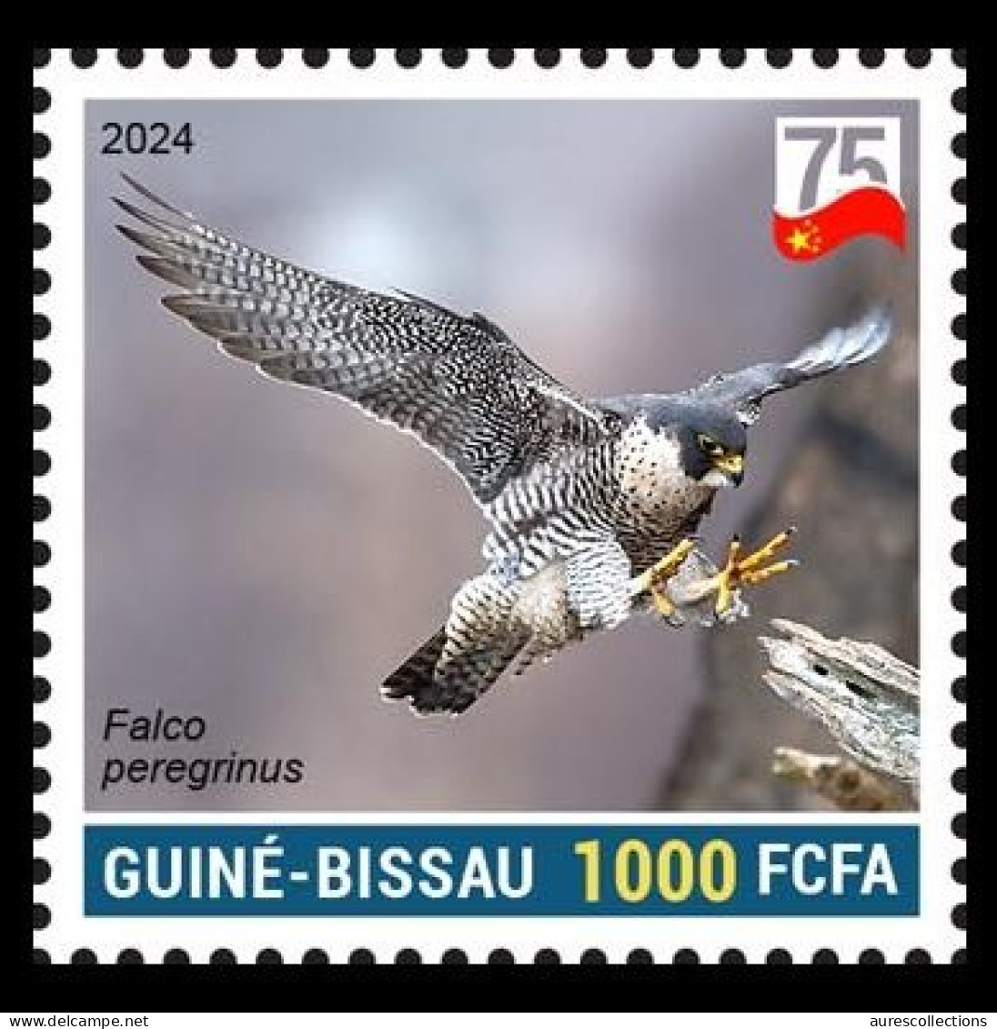 GUINEA BISSAU 2024 STAMP 1V - CHINA BIRDS - PEREGRINE FALCON FAUCON PELERIN - 75 ANNIV. OF CHINA - MNH - Eagles & Birds Of Prey