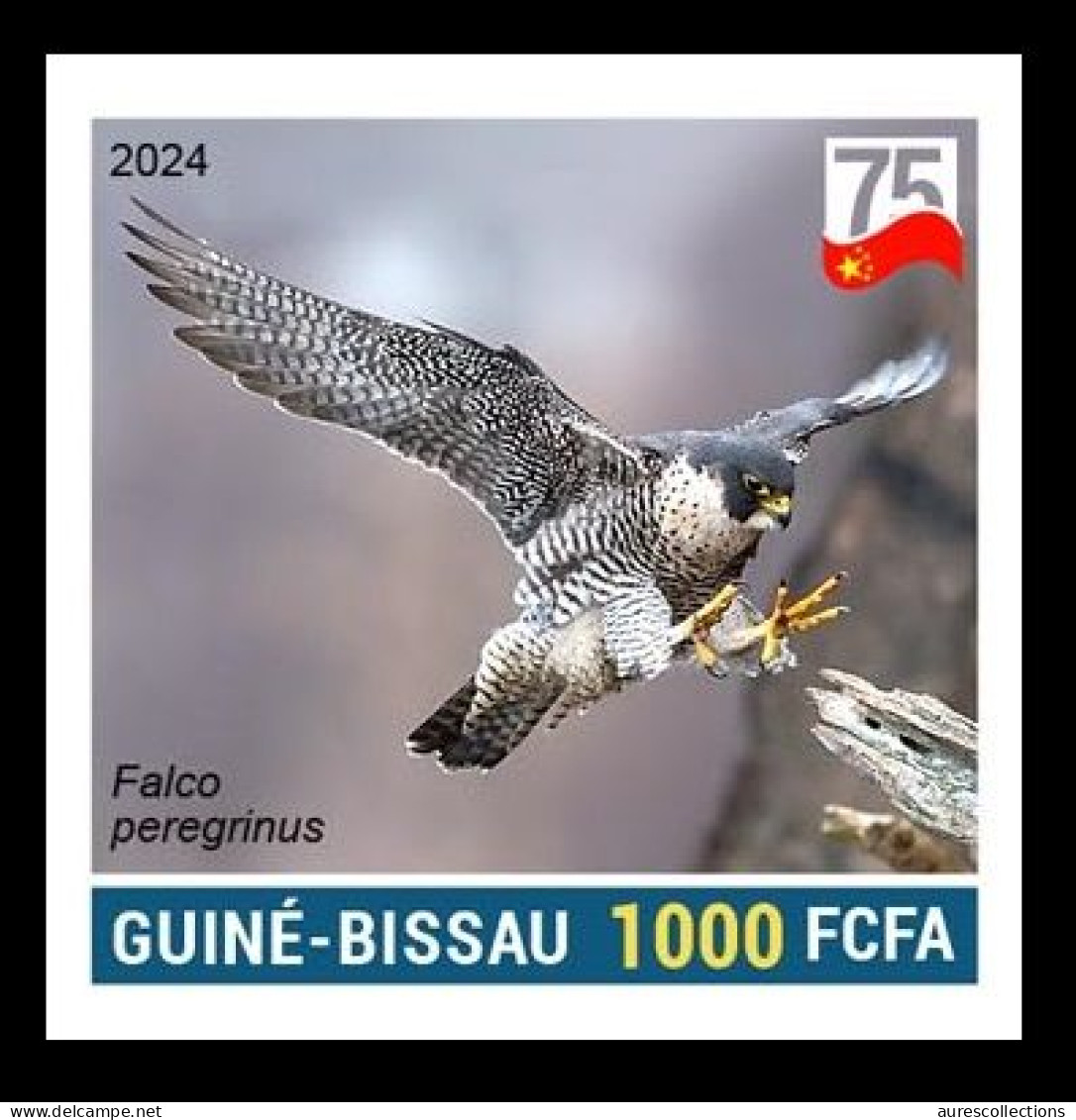 GUINEA BISSAU 2024 IMPERF STAMP 1V - CHINA BIRDS - PEREGRINE FALCON FAUCON PELERIN - 75 ANNIV. OF CHINA - MNH - Arends & Roofvogels