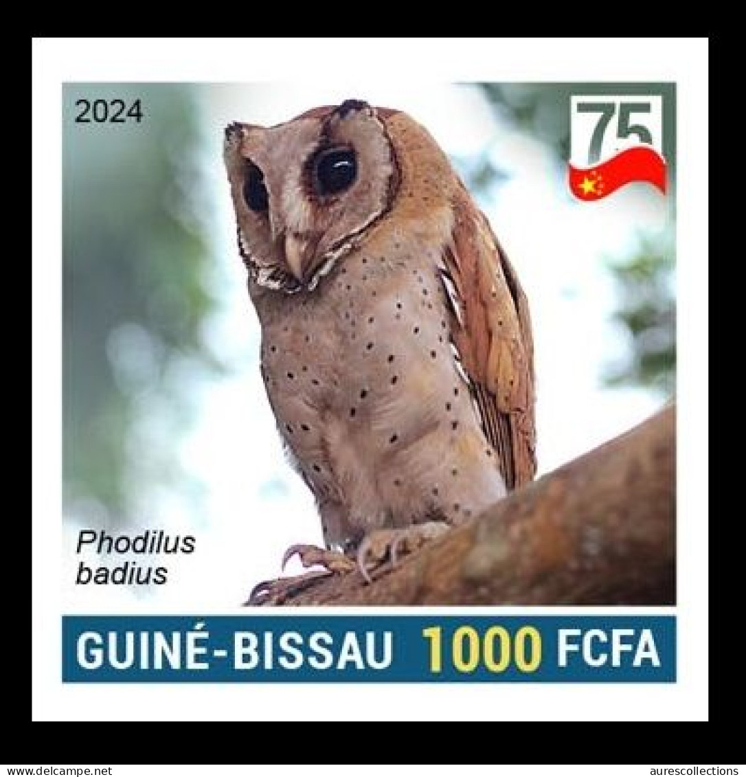 GUINEA BISSAU 2024 IMPERF STAMP 1V - CHINA BIRDS - SRI LANKA BAY OWL OWLS PHODILE DE CEYLAN - 75 ANNIV. OF CHINA - MNH - Eulenvögel