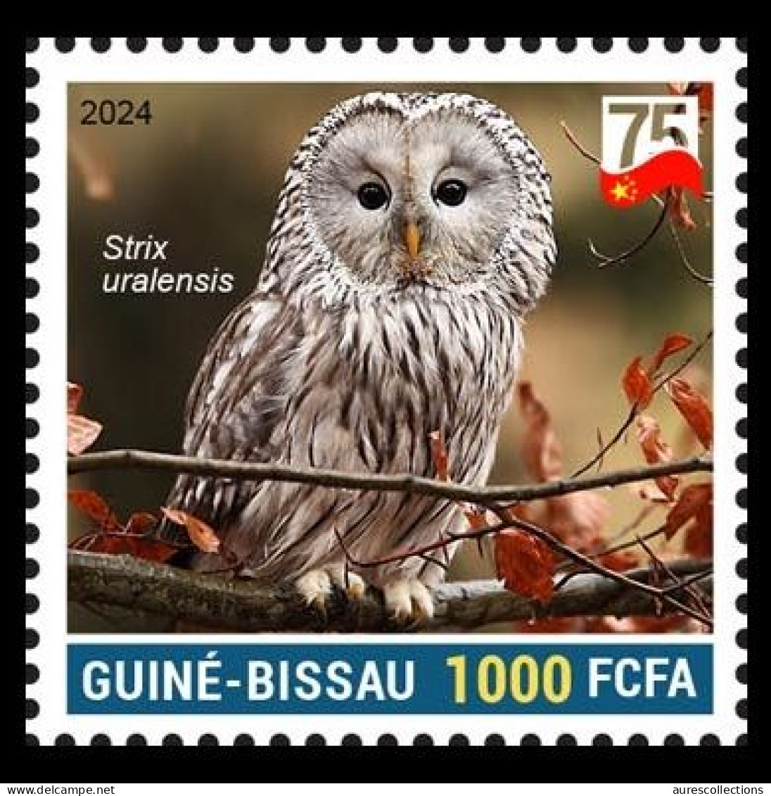 GUINEA BISSAU 2024 STAMP 1V - CHINA BIRDS - URAL OWL OWLS HIBOUX HIBOU CHOUETTE OURAL - 75 ANNIV. OF CHINA - MNH - Eulenvögel