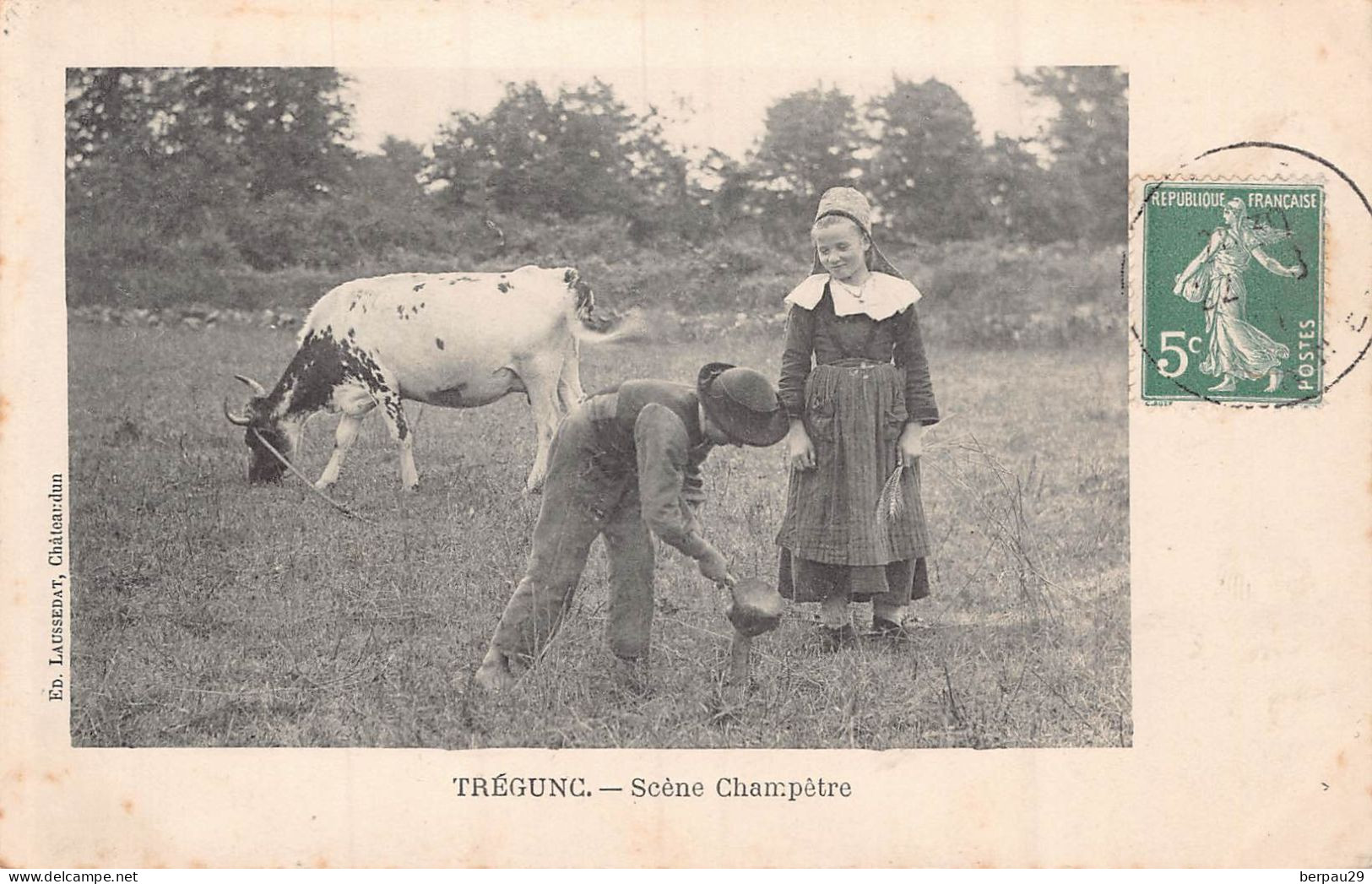 TREGUNC - Scéne Champetre -  Vache  ( Gros Plan ) - Trégunc