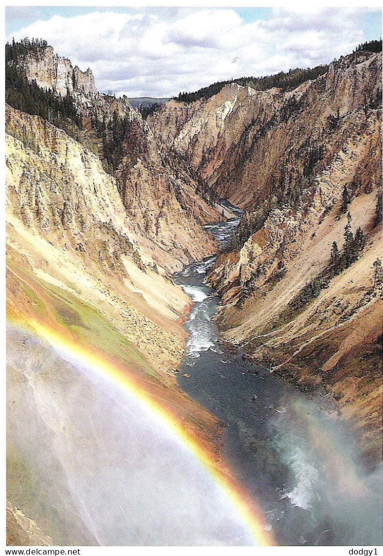 THE GRAND CANYON OF YELLOWSTONE, YELLOWSTONE, WYOMING, UNITED STATES. UNUSED  POSTCARD M8 - Yellowstone